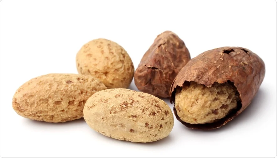 Traditional Nuts & Fruits