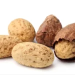 Bitter Kola