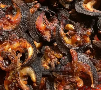 Dry Snail 100g