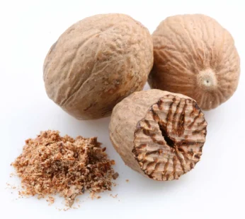 Nutmeg (1 Seed)