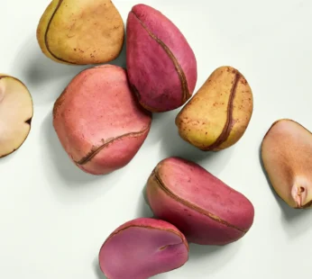 Kola Nut